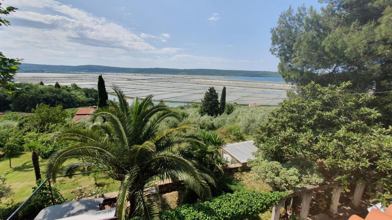 Apartment Laurus Portorož Zewnętrze zdjęcie