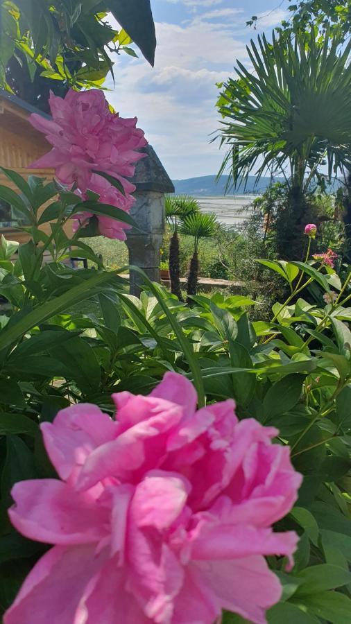 Apartment Laurus Portorož Zewnętrze zdjęcie