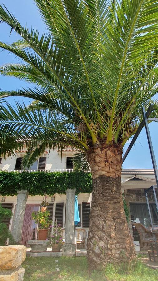 Apartment Laurus Portorož Zewnętrze zdjęcie