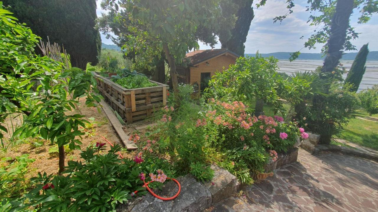 Apartment Laurus Portorož Zewnętrze zdjęcie