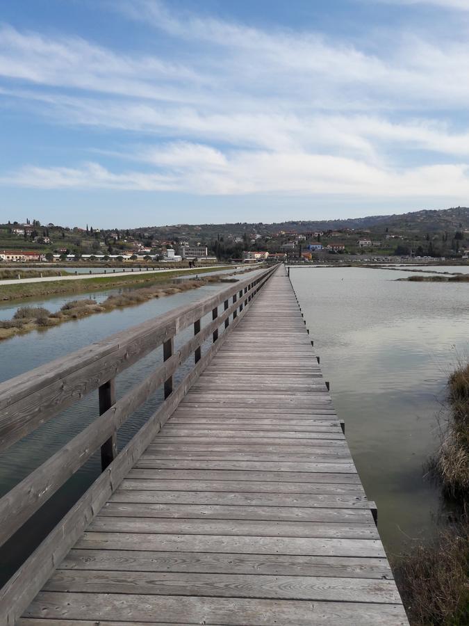 Apartment Laurus Portorož Zewnętrze zdjęcie