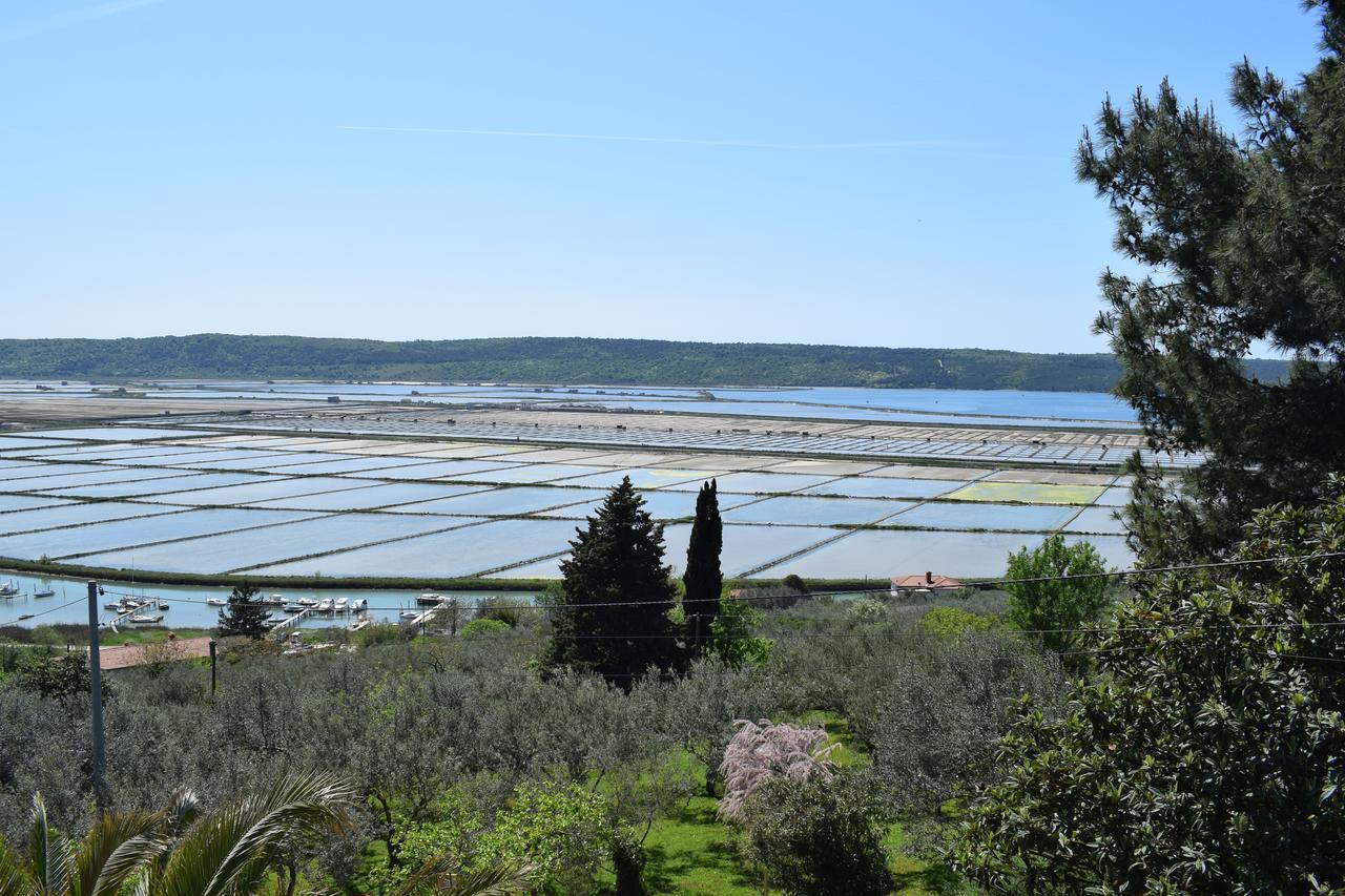 Apartment Laurus Portorož Zewnętrze zdjęcie